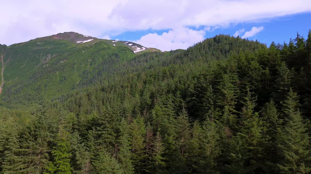treetop aerial view near juneau ala
