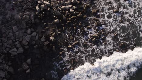 la vue de dessus du drone se déplace vers le bas en fermant les vagues freinant à la plage au soleil