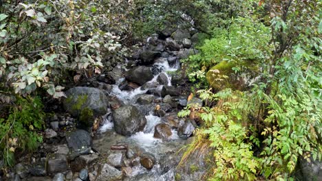 Small-waterfall-off-nugget-trail-near-Nugget-Falls-and-Mendenhall-Glacier-in-Juneau-Alaska