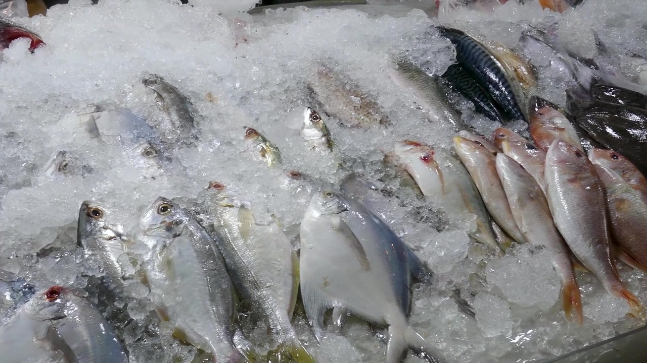 Fresh Seafood Display in Street Market