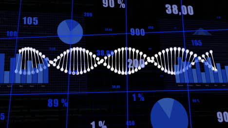 dna strand and statistical data animation over blue charts and graphs