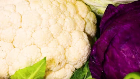 assorted vegetables arranged on a blue background