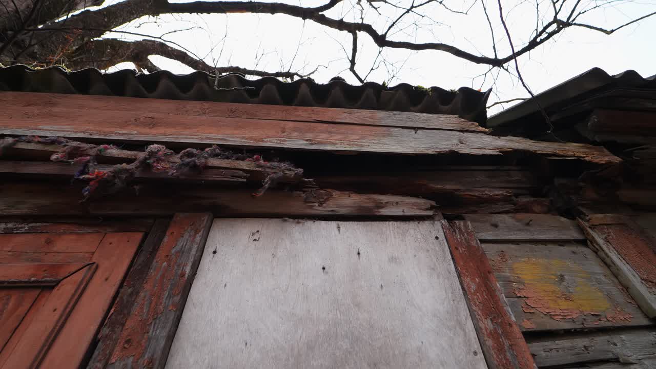 Close-up of an old wooden shed with a sagging corrugated roof, weathered boards, and exposed insulation—decay and maintenance issues in a rural backyard outbuilding