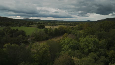 green fields and vegetation in durham, arkansas, usa - aerial shot