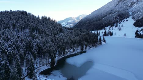 Obersee-Glarus-Schweiz,-Wo-See-Auf-Wald-In-Den-Alpen-Trifft