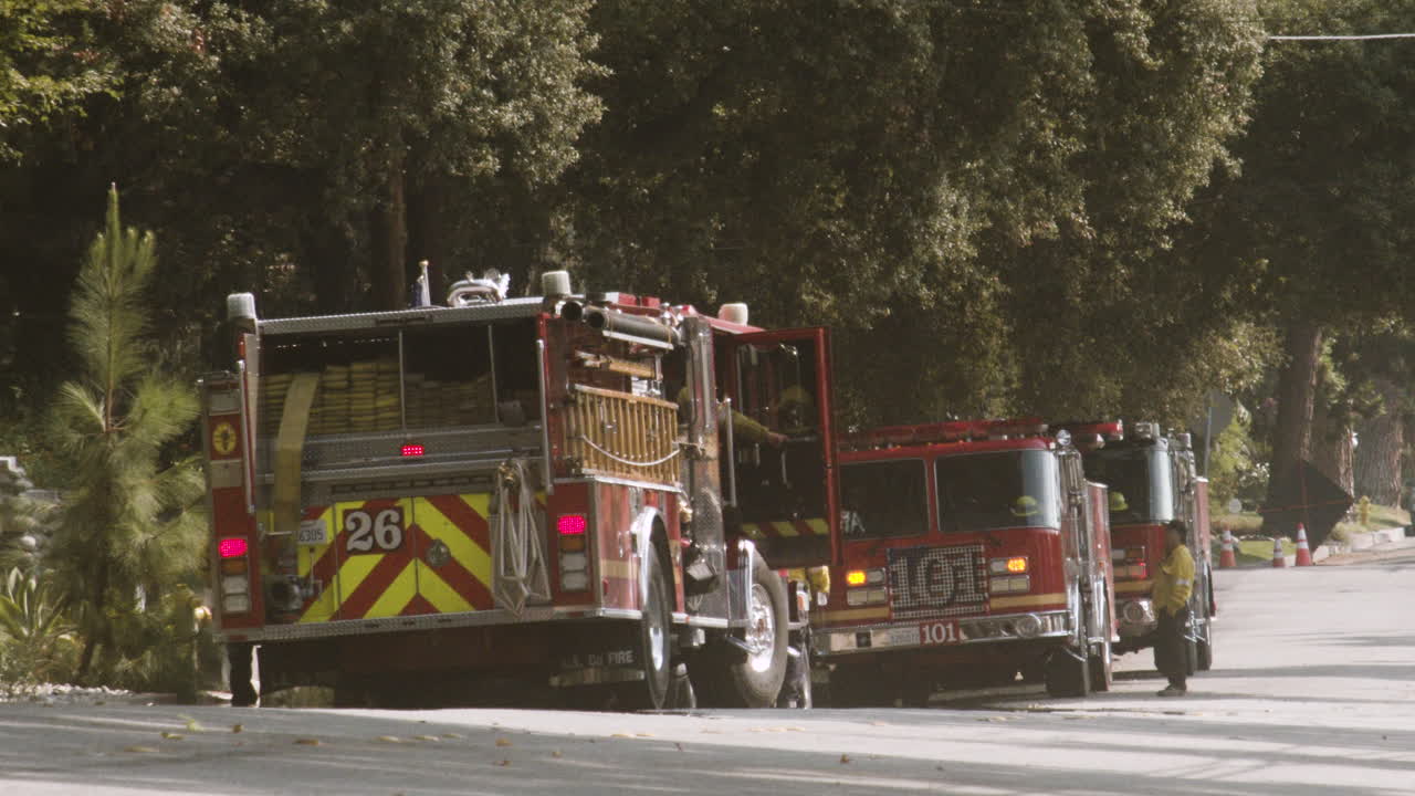 Fire trucks parked on a tree-lined street