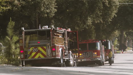 fire trucks parked on a tree-lined street
