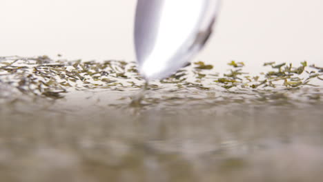 spoon spinning green tea leaves in water in 100 fps