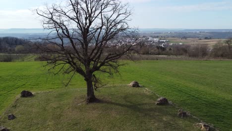 aerial view of the famous linden tree on a plateau near the town of esslingen near stuttgart in southern germany