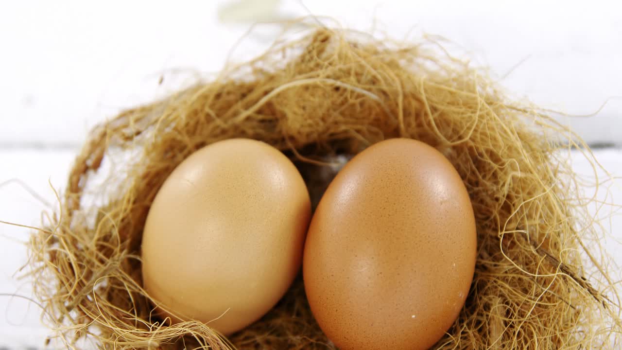 Two brown eggs in the nest
