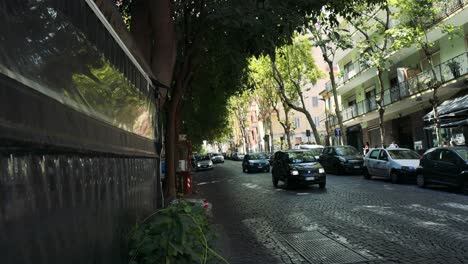 coches navegando por una calle arbolada en nápoles