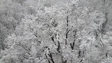 it's snowing