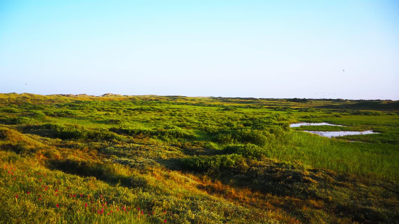 панорамный вид на тексель, один из голландских островов вадден, у побережья нидерландов