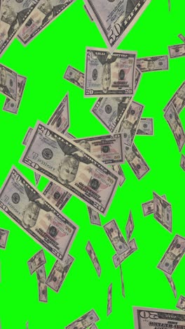 caen billetes de cincuenta dólares en una pantalla verde