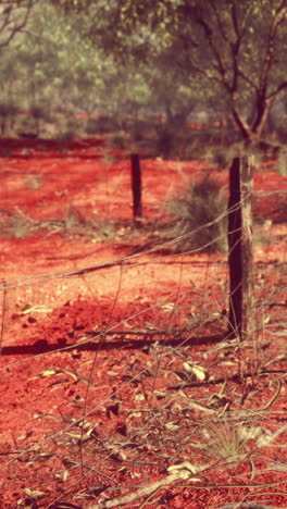 red dirt path with fence posts in the australian outback