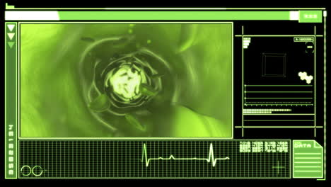 digital interface featuring blood flowing through vein