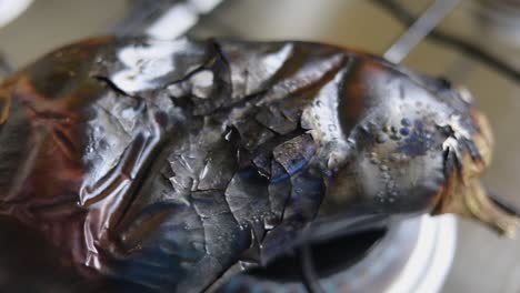 Detail-Of-An-Eggplant-Roasting-Over-Fire-In-Stove