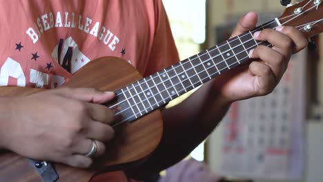 ukelele es un miembro de la familia de instrumentos de laúd