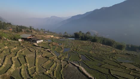 Aerial-drone-shot-of-bright-green-rice-terraces-in-the-mountains-of-Sapa,-Vietnam