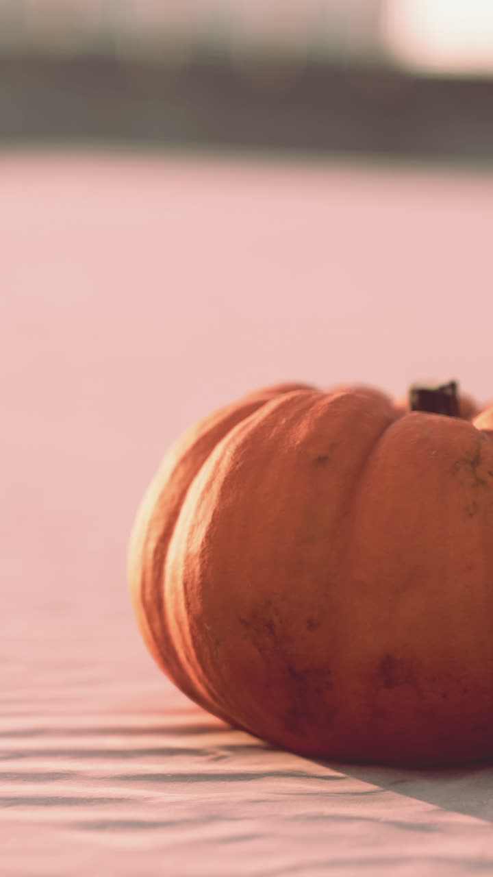 primer plano de una sola calabaza naranja