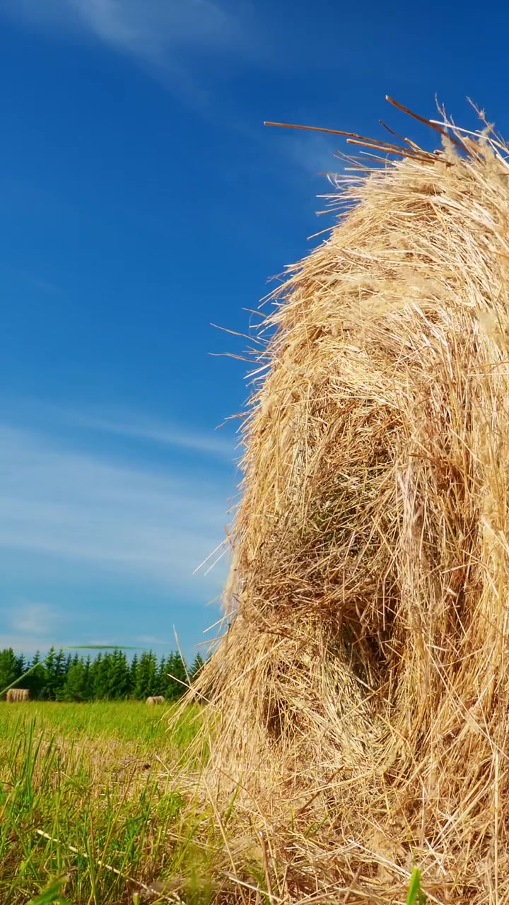 Paca de heno dorada en un campo verde con cielo azul