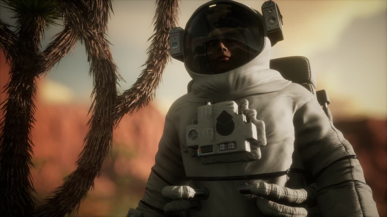 Astronaut i Nevadas høje ørken