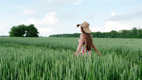 pregnant girl walking in a wheat field