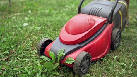 slow motion of lawn mower on the ground. red electric machine cutting green grass in the garden in summer.