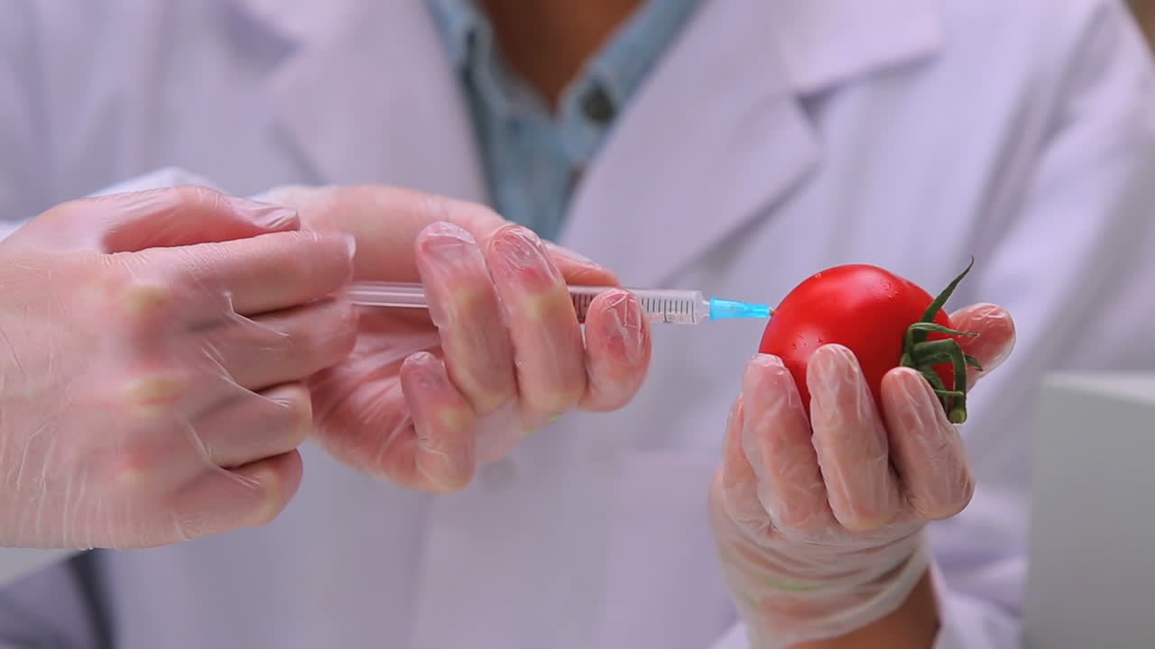 estudiantes de pie en el laboratorio tomando una muestra e inyectando con una jeringa un tomate