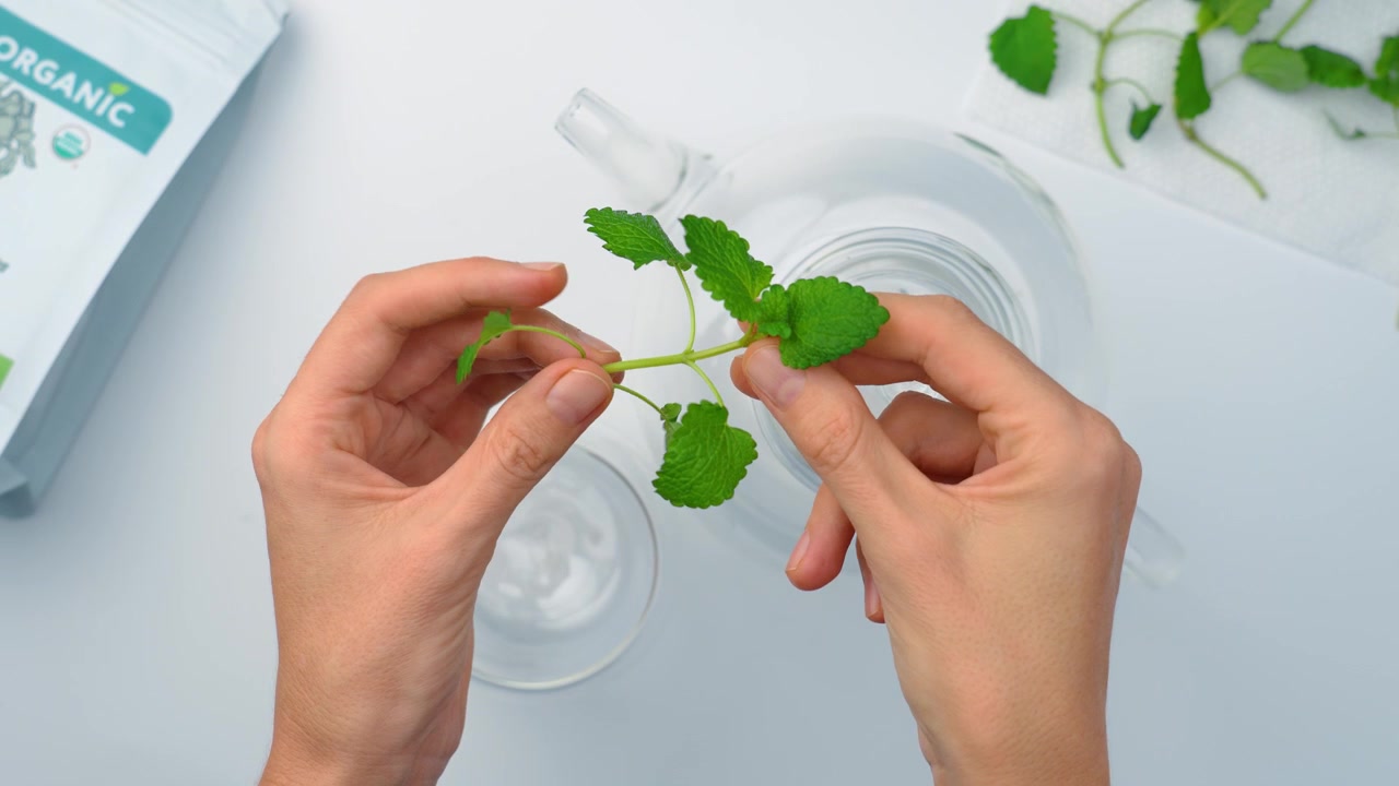 New York, USA, 9 Jule 2026 : Woman holding green melissa sprig over open glass teapot. High angle shot of hand putting fresh herbal plant inside transparent kettle on white table.