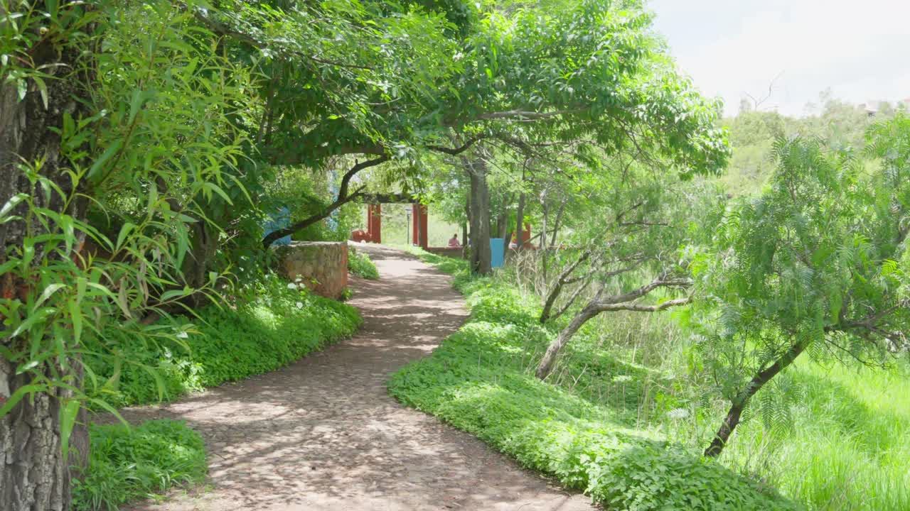 물 과 나무 가 있는 곳 의 판닝  ⁇