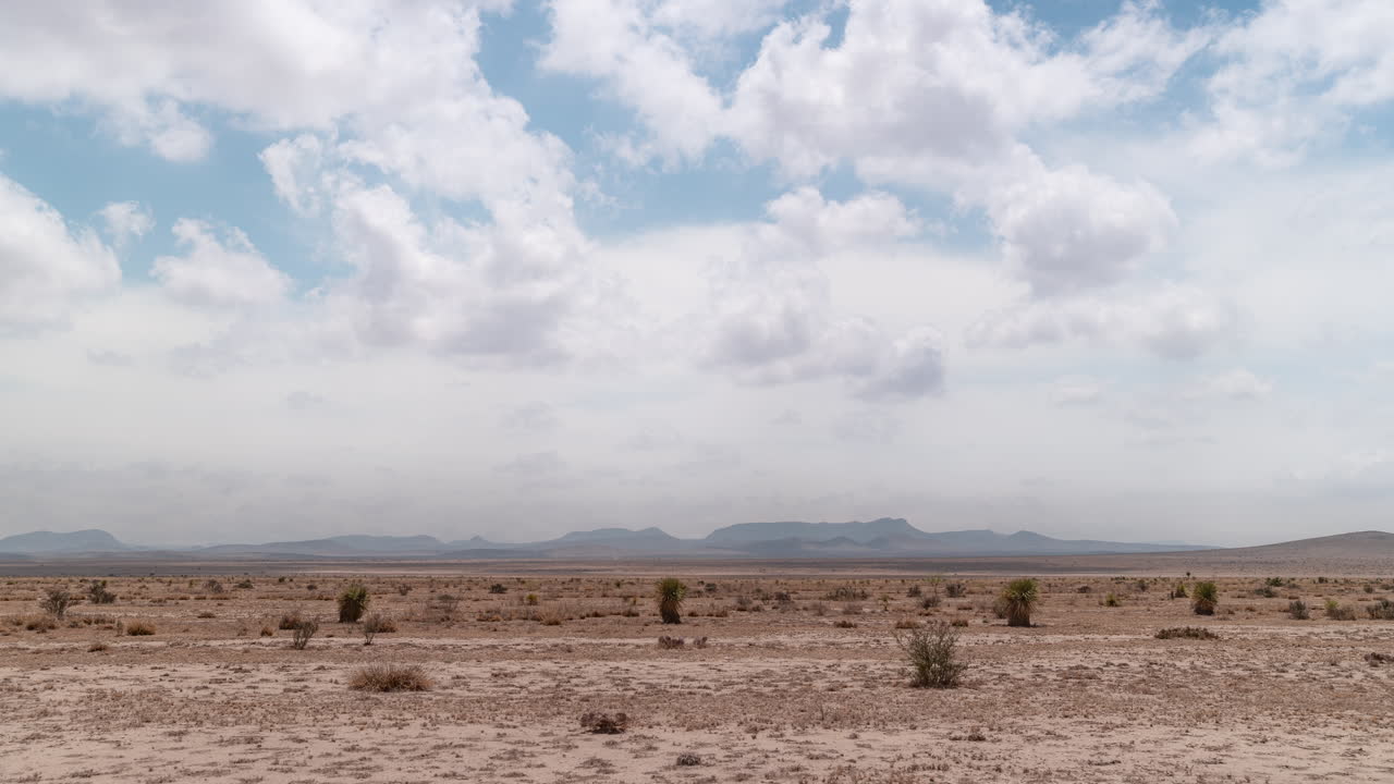 Cloudscape Timelapse in the west Texas desert near Big Bend, Dust Devils and Yucca plants in hot arid Chihuahuan landscape