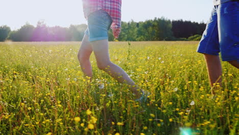 couple is walking along a beautiful meadow with flowers at sunset only the legs are visible in the frame