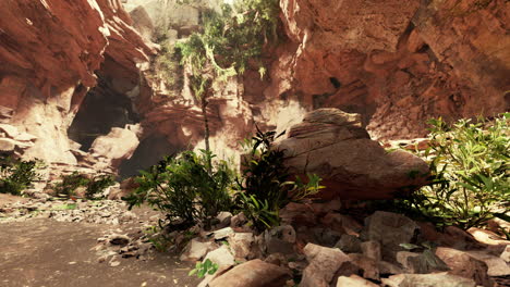 cueva en un volcán extinto en la isla