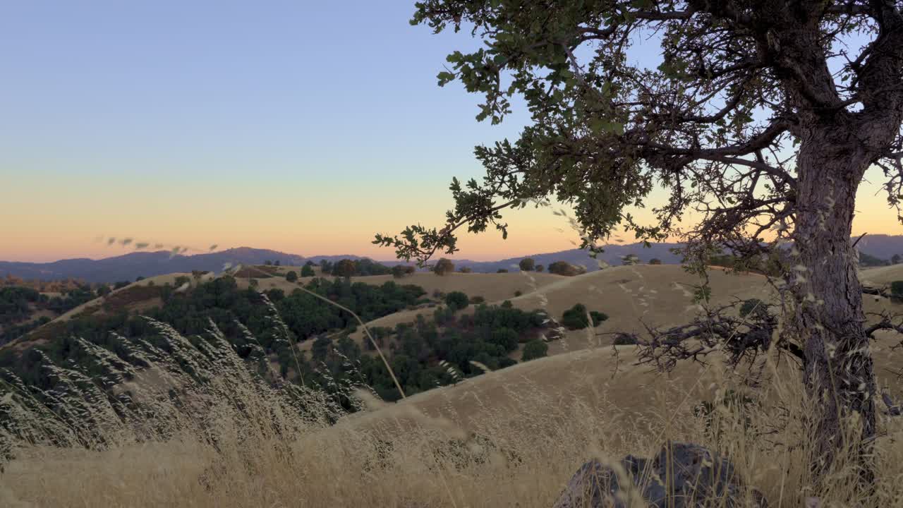 Scenic Rolling Hills Landscape During Sunset