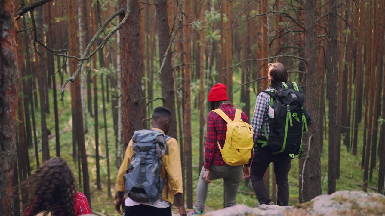 친구 들 이 숲 에서 산책 하고 있다