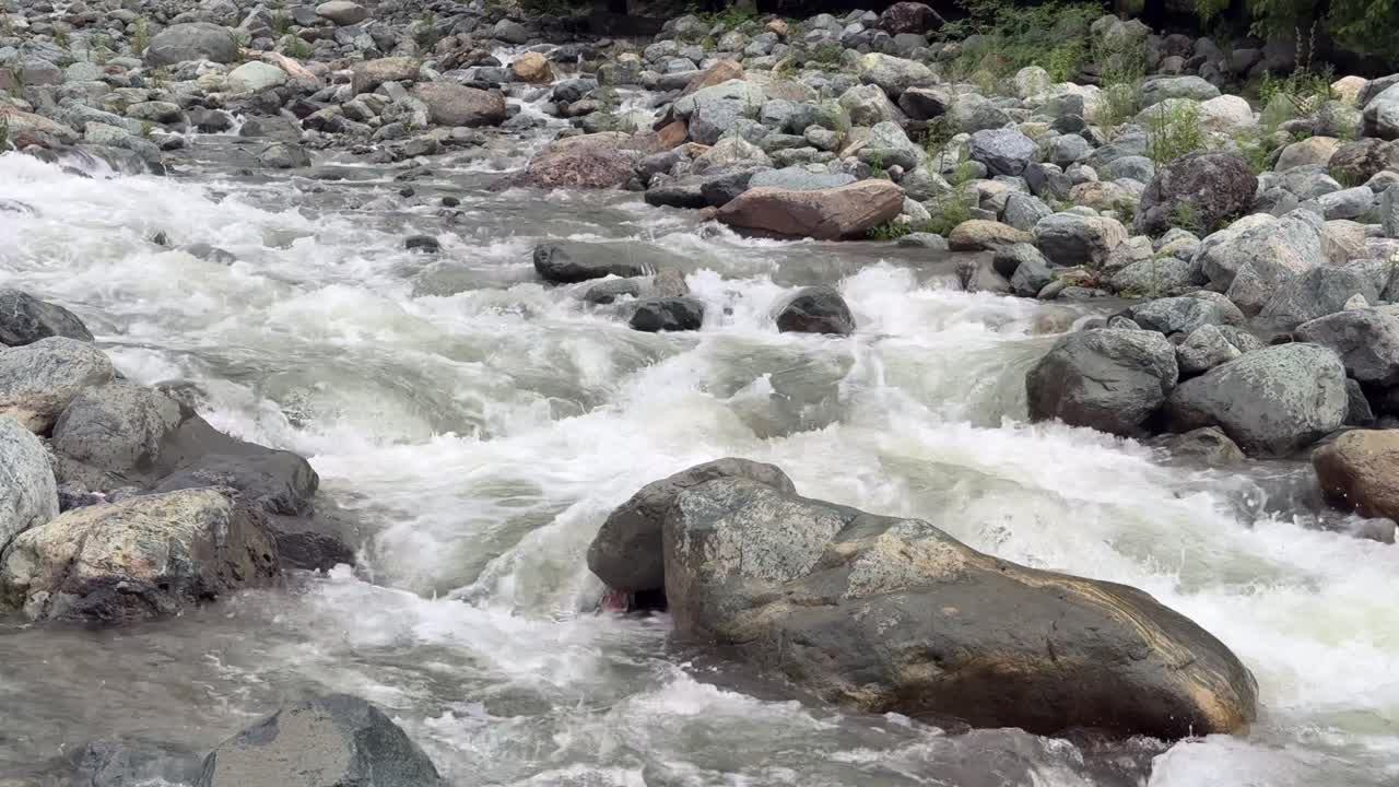 Water Nature Beauty, Travel Through Kashmir Green Landscapes, Birds, Water, Plants and the Life of Indian Farmers, ploughing bull and Environment Lovers