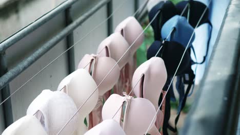 selective focus of women's various colors bras that are being dried outdoors from weekly washing