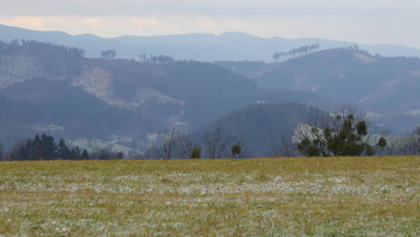 Vista-De-Un-Campo-En-El-Que-Cae-Nieve-Fresca-En-Cámara-Lenta