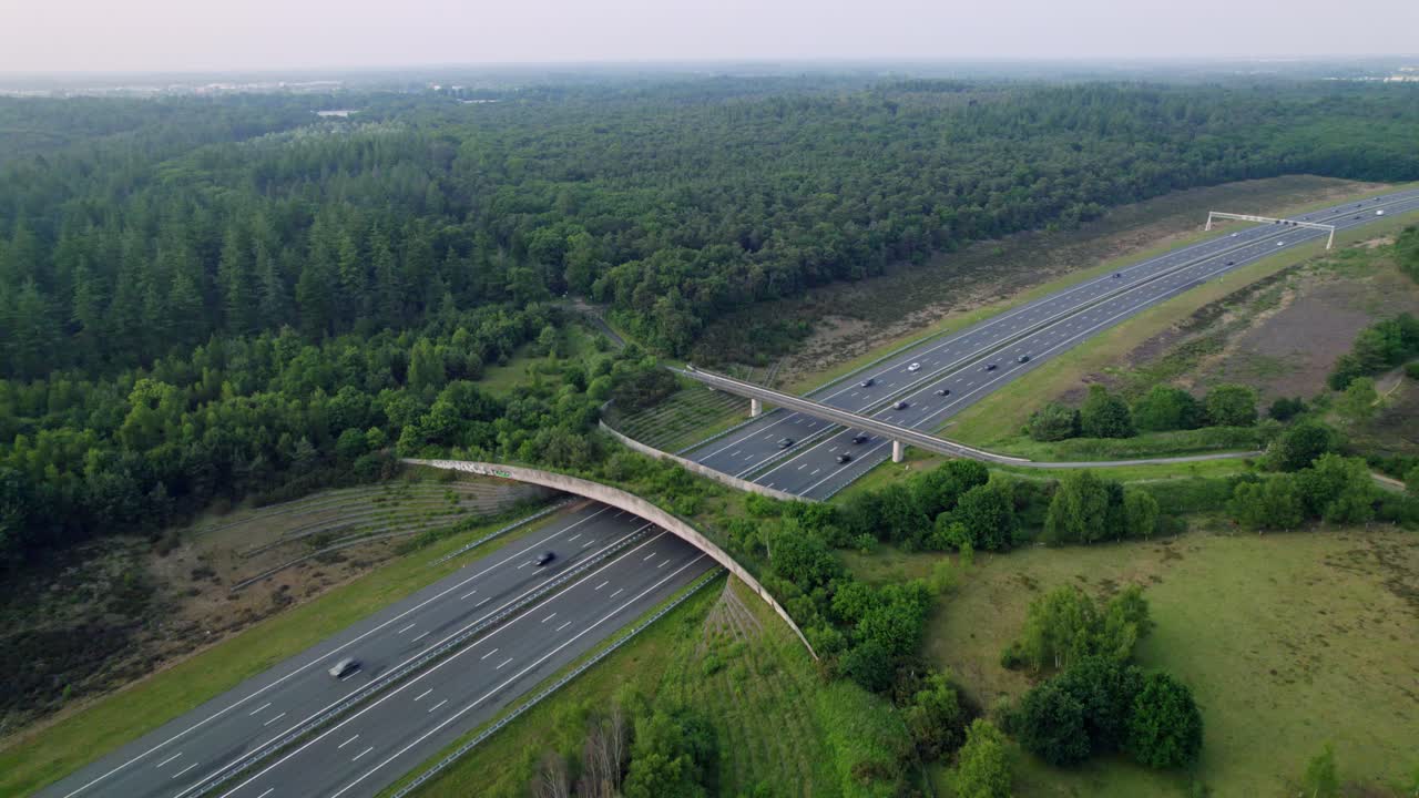 Forest aerial wildlife crossing De Borkeld forming a safe natural corridor bridge for animals to migrate between conservancy areas