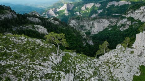 épicos-Valles-Boscosos-Blancos-Y-Verdes-De-Vietnam,-Vista-Panorámica-De-Drones