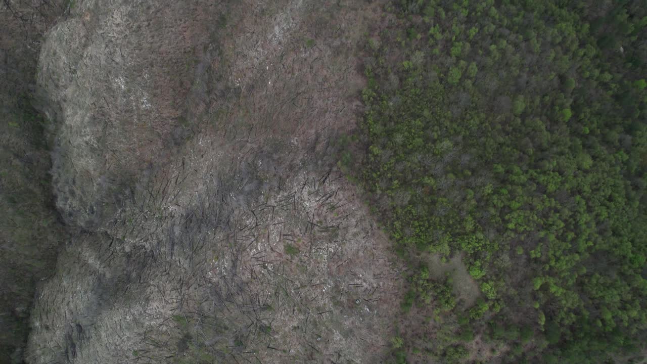 aerial, la mitad de los árboles en la montaña en konjic, bosnia, ha sido cortado ilegalmente