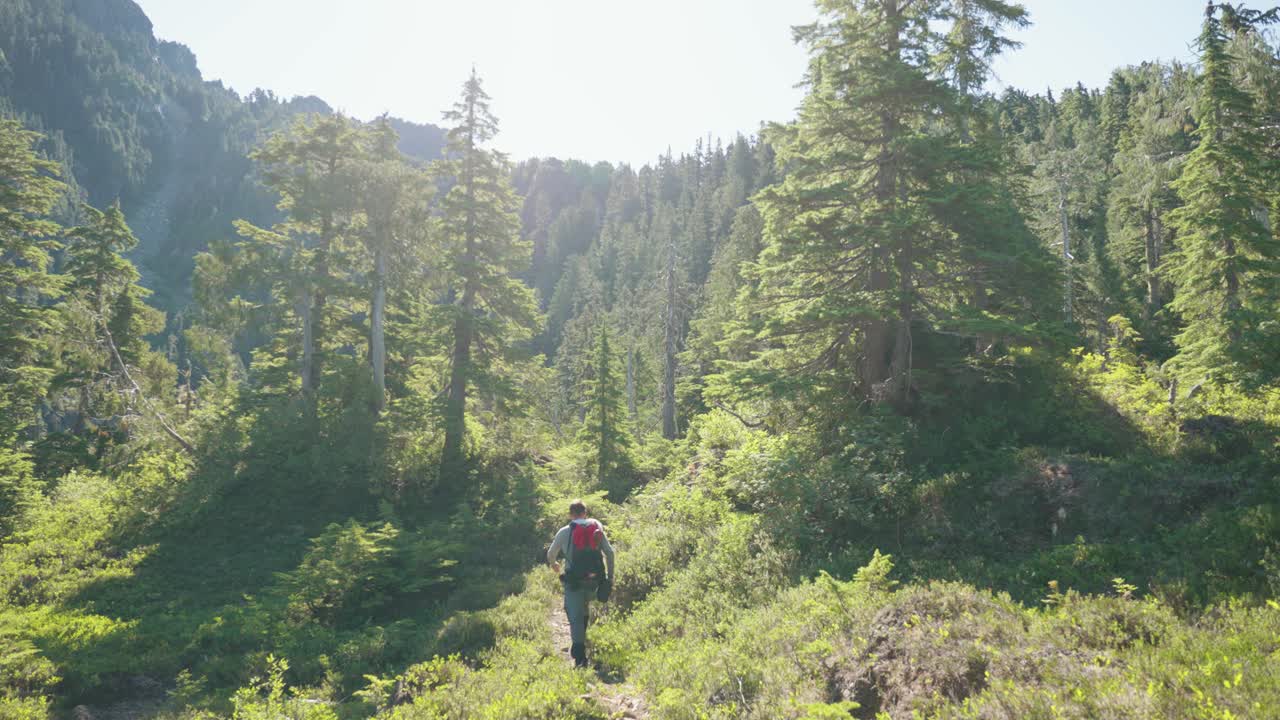 고산 숲 초원 - mackenzie range, vancouver island, bc, canada에서 카메라에서 멀리 걸어가는 등산객
