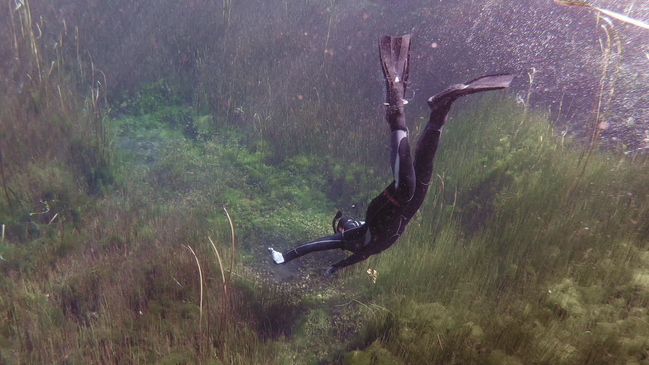 Snorkeling exploring the depths of Lake Ewens Ponds, Australia.