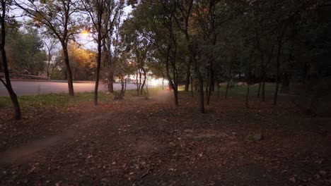 Man-rides-a-motorcycle-cross-country-between-trees-or-forest-with-turned-on-headlight-on-high-speed