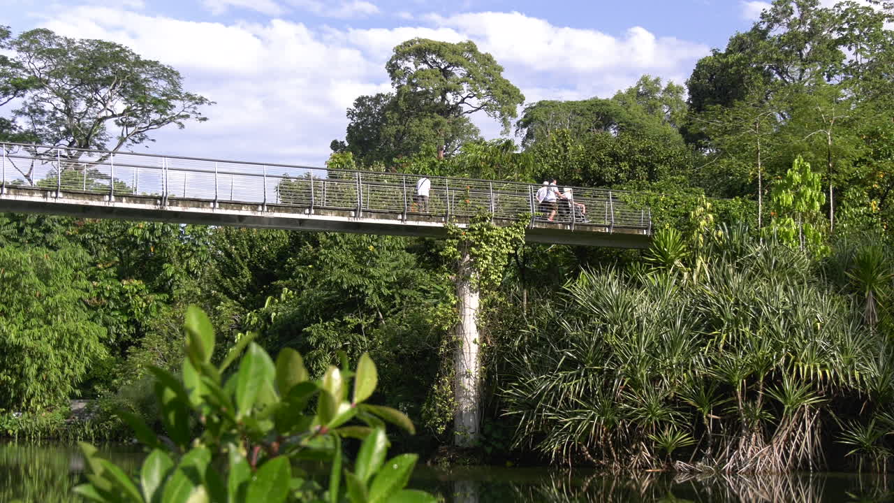 A bridge with visitor on a wheelchair at the Singapore Botanic Gardens