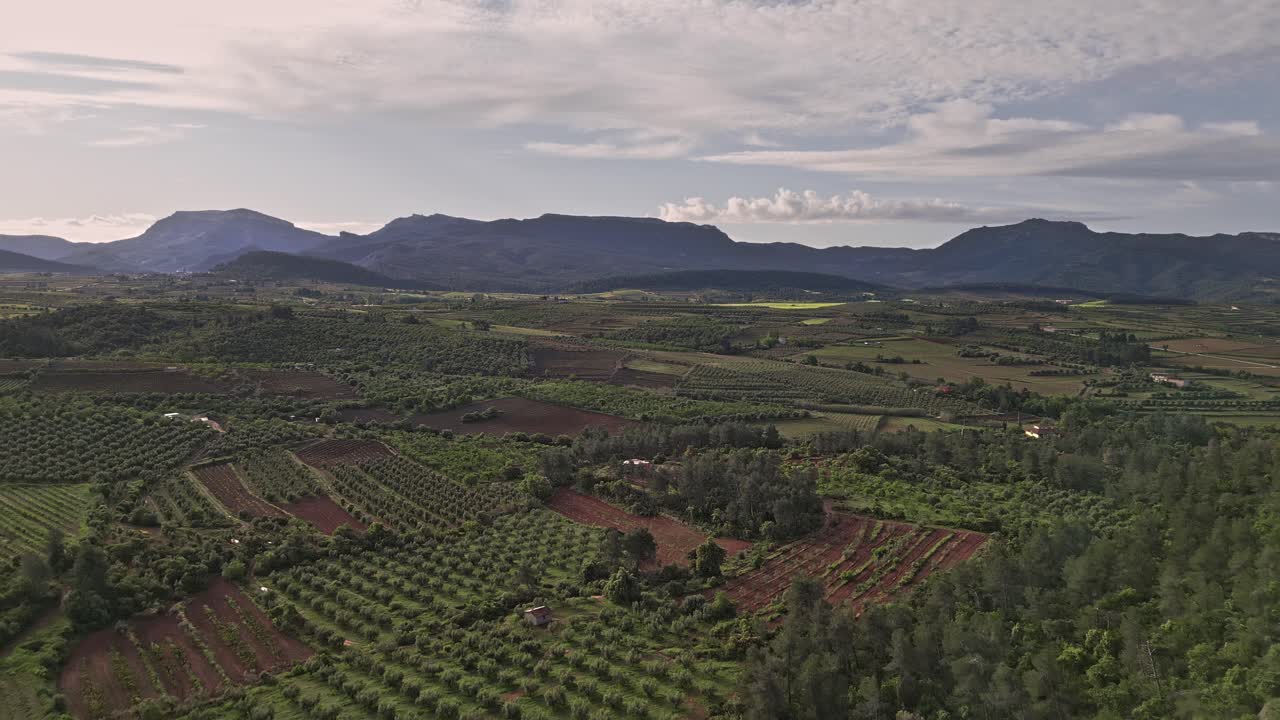 Scenic vineyards stretch across the priorat region, under the watchful eye of the montsant mountains, a testament to catalonia's rich wine culture