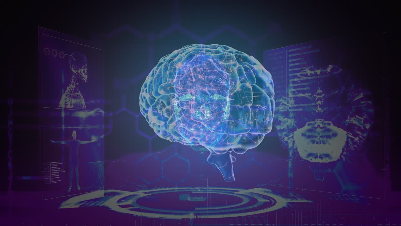해부학적 데이터와 함께 파란 화면 위에 회전하는 뇌의 애니메이션