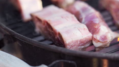 slow motion macro of meat grilling on fiery and smokey bbq grill