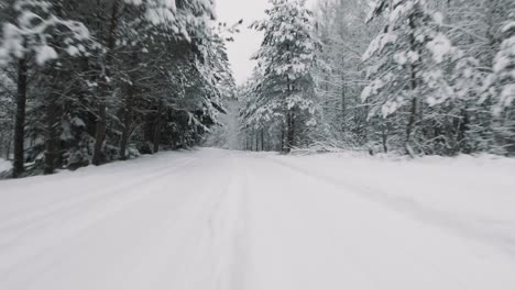 Front-mounted-camera-driving-through-forest-road